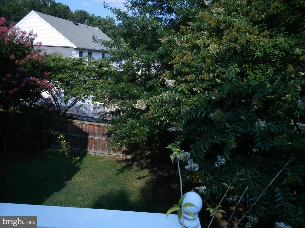Photo of 1843 DISNEY ESTATES CIRCLE
