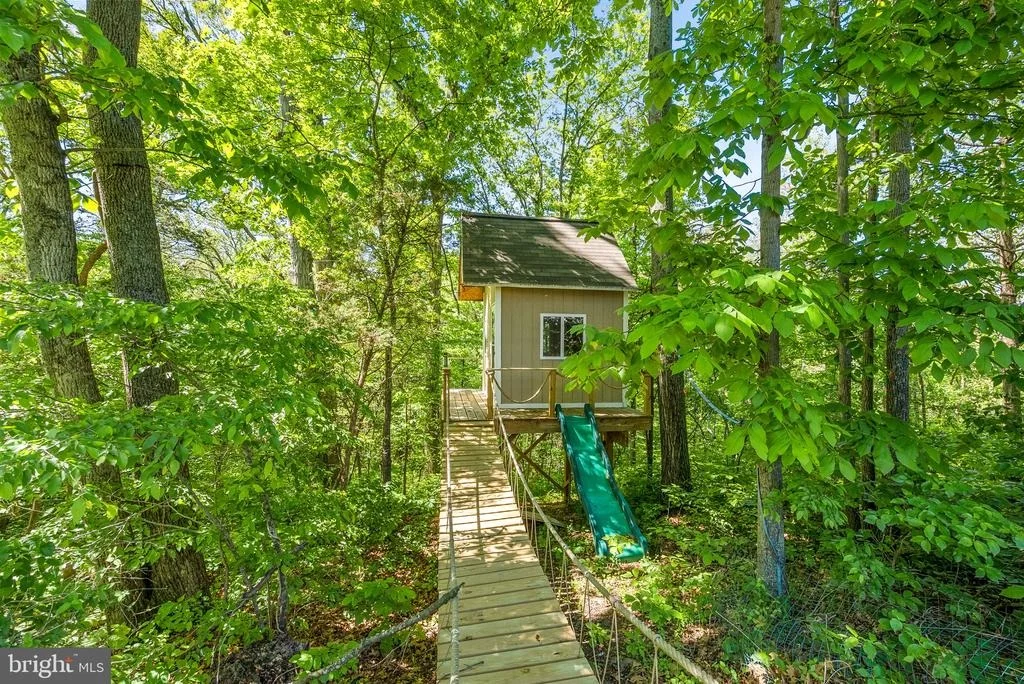 Photo of 12009 BOBWHITE DRIVE