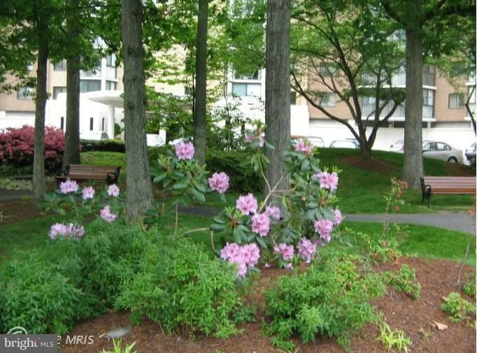 Photo of Unit 1109 at 15101 INTERLACHEN DRIVE