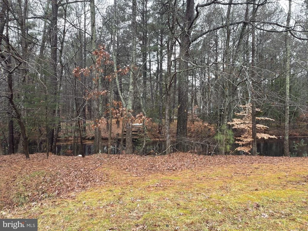Photo of 4011 GROSSE POINT DRIVE