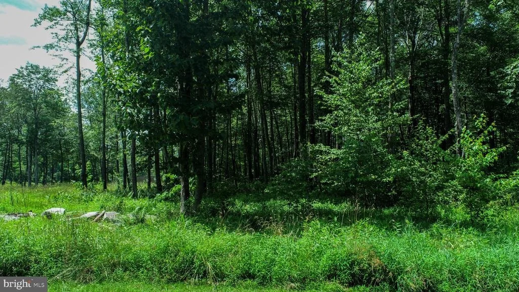 Photo of Lot 122 FAIR WAY