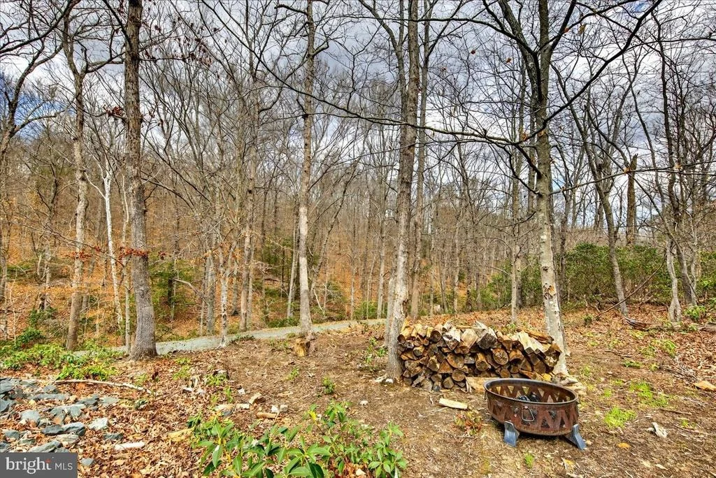 Photo of 18 CHICKASAW PLACE