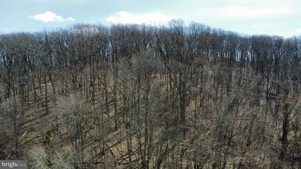 Photo of 2849 MANCHESTER ROAD
