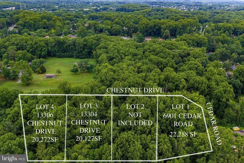 Photo of 13304 CHESTNUT DRIVE