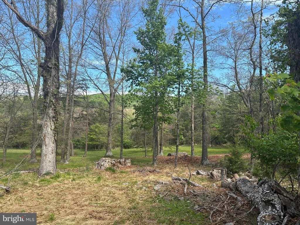 Photo of 90 SHADE VALLEY ROAD