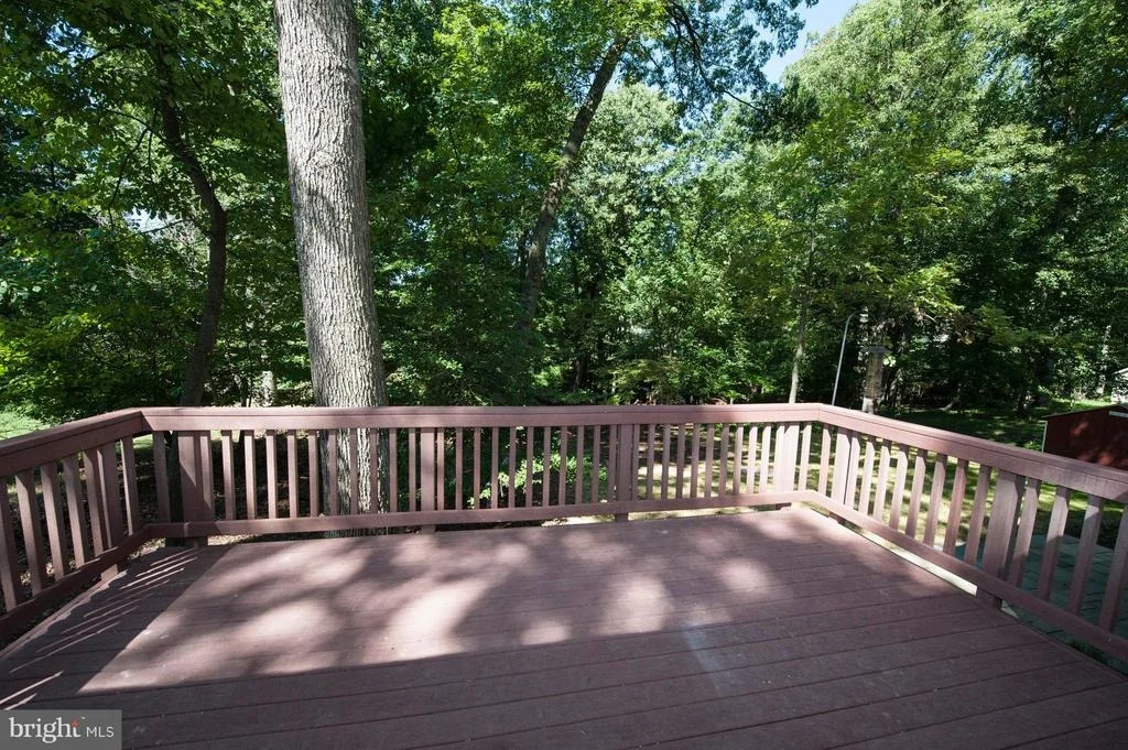 Photo of 12516 TWO FARM DRIVE