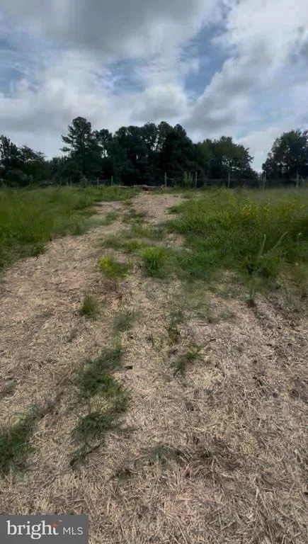 Photo of 7813 CINDER BED ROAD