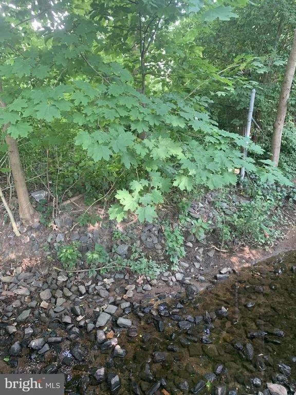 Photo of 1006 CRESTOVER ROAD