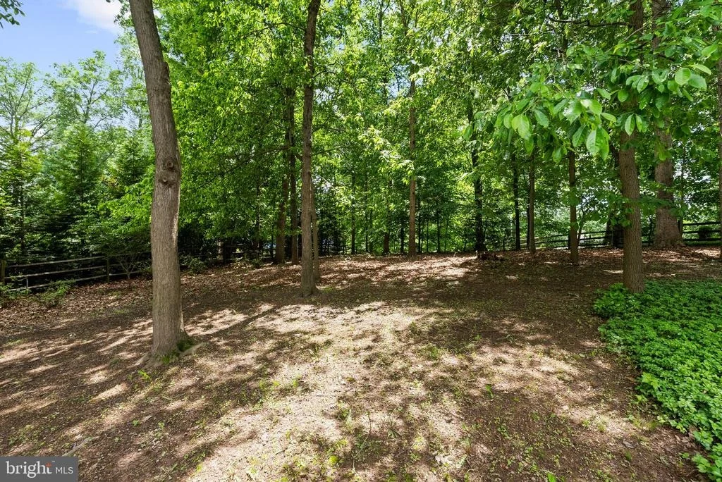 Photo of 6707 LUPINE LANE