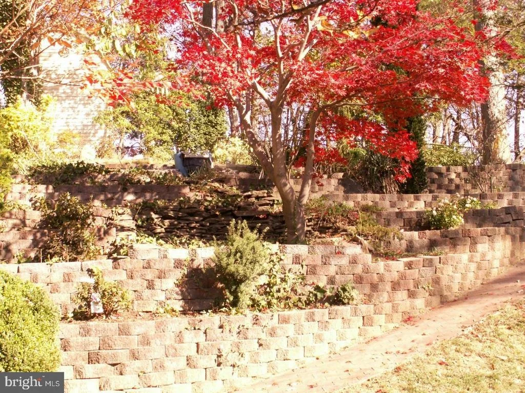 Photo of 919 JUNIPER PLACE
