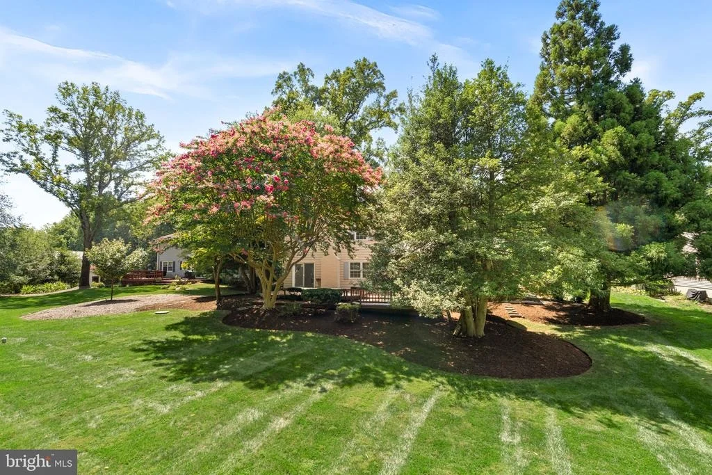 Photo of 3241 BETSY LANE