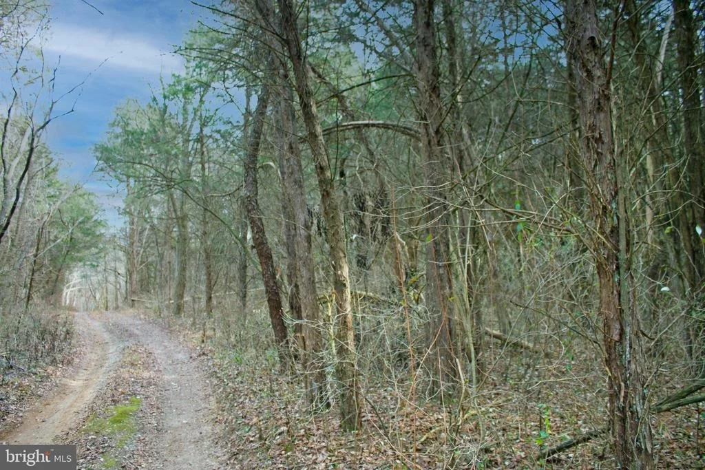 Photo of 8045 AVIS MILL ROAD