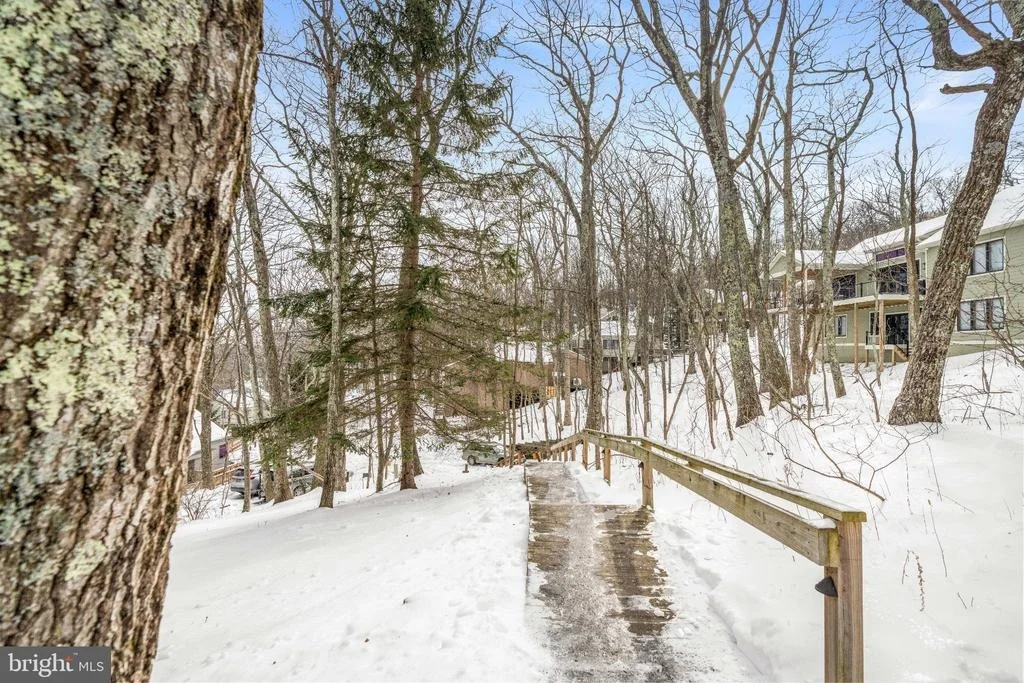 Photo of 142 SQUIRREL TREE LANE