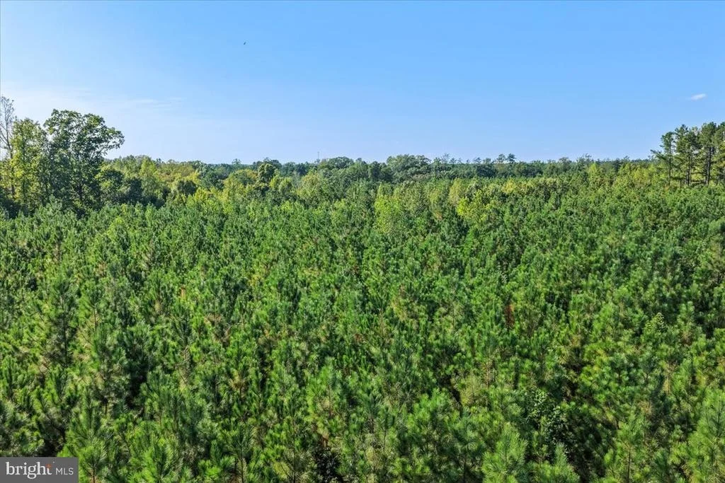 Photo of Lot 7 & 8 COUNTY POND ROAD