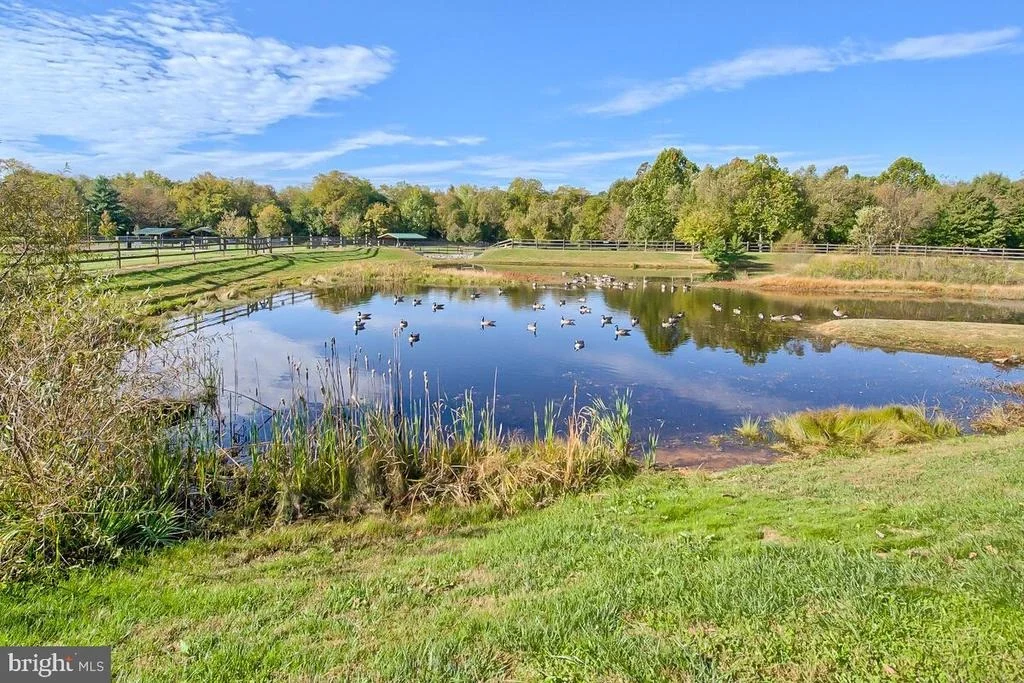 Photo of 6416 MADIGAN TRAIL