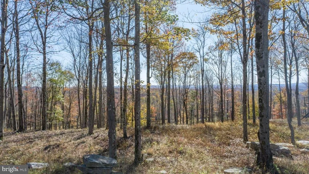 Photo of 115 CAMPFIRE DRIVE