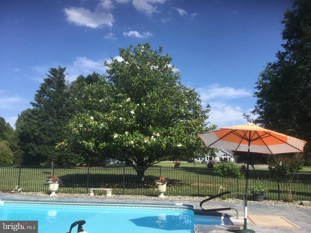 Photo of 65 WIMBLEDON DRIVE