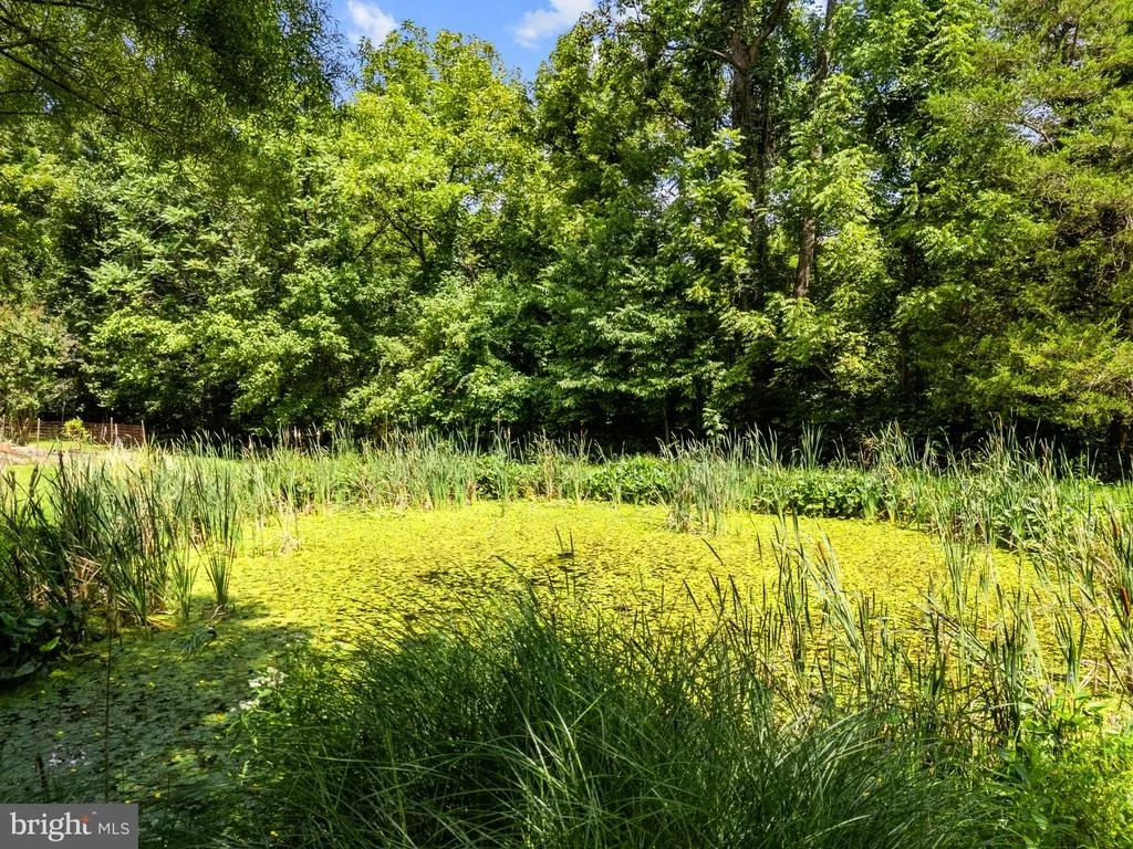 Photo of 39902 THOMAS MILL ROAD