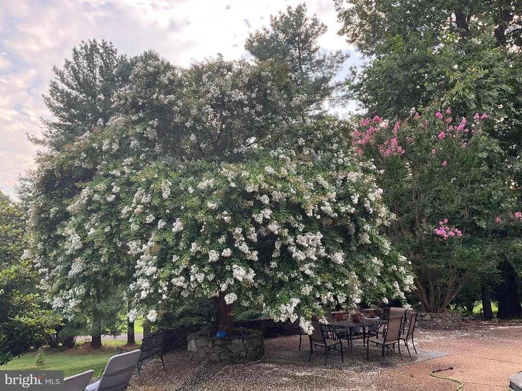 Photo of 3850 COBBLER MOUNTAIN ROAD