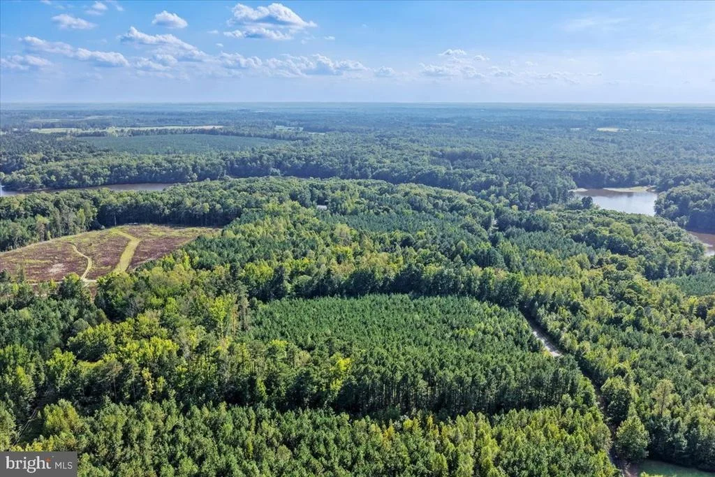 Photo of Lot 7 & 8 COUNTY POND ROAD