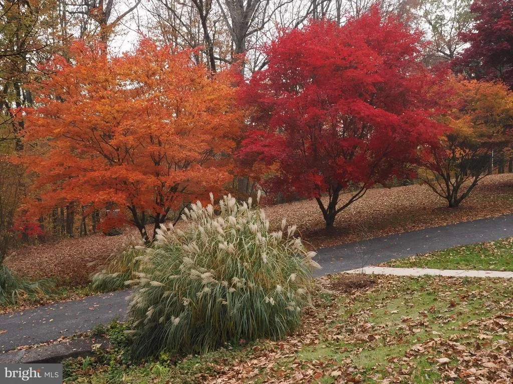 Photo of 3160 SANDY HOOK ROAD