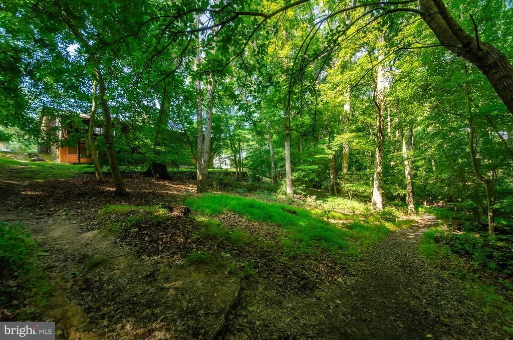 Photo of 1430 WOLFTRAP RUN ROAD