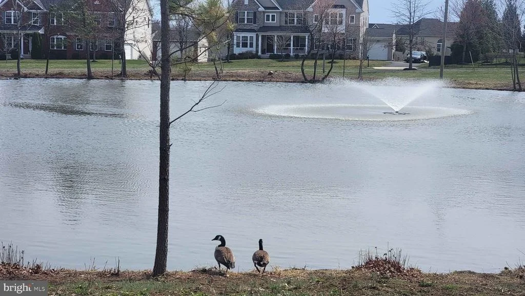 Photo of 26760 CRUSHER DRIVE