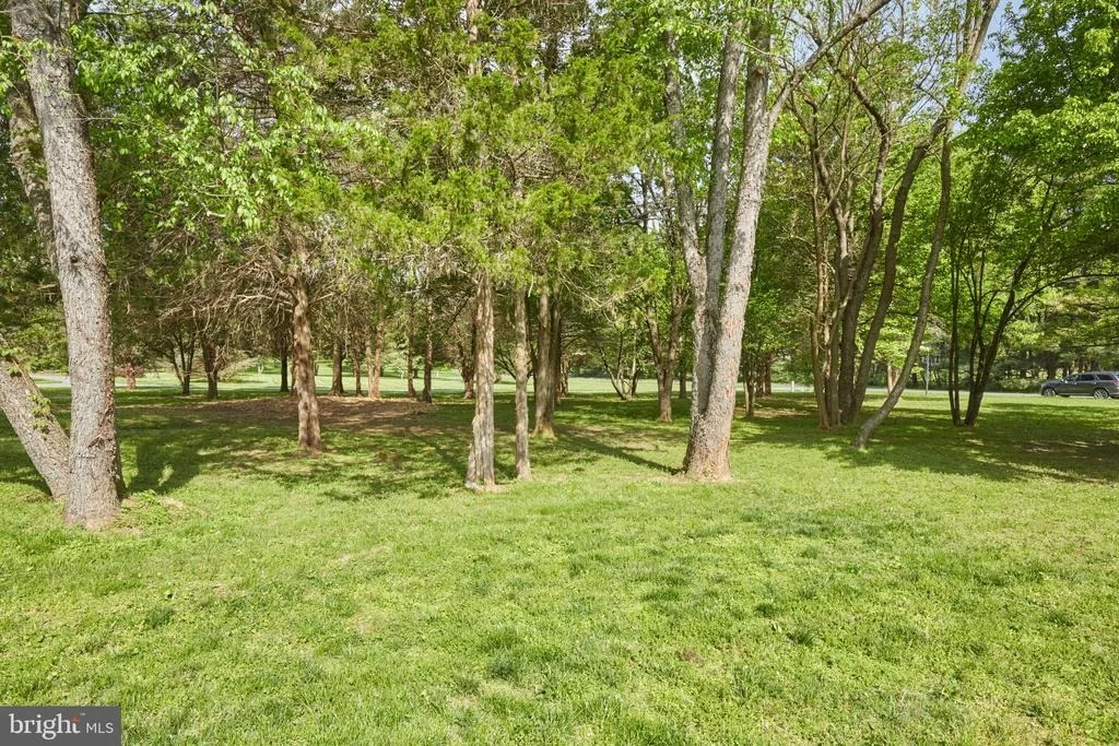 Photo of 10508 WHITE CLOVER TERRACE