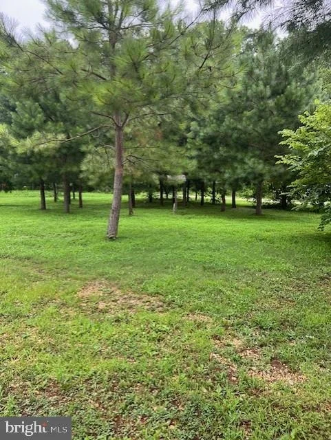 Photo of 12233 LINE ROAD