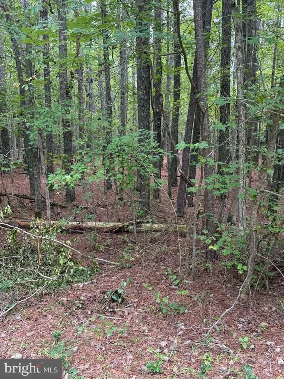 Photo of 23301 NANTICOKE ROAD