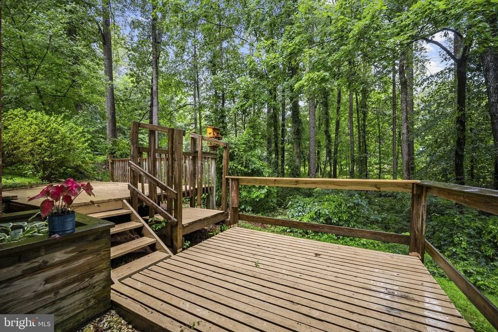 Photo of 11039 TIMBERVIEW DRIVE