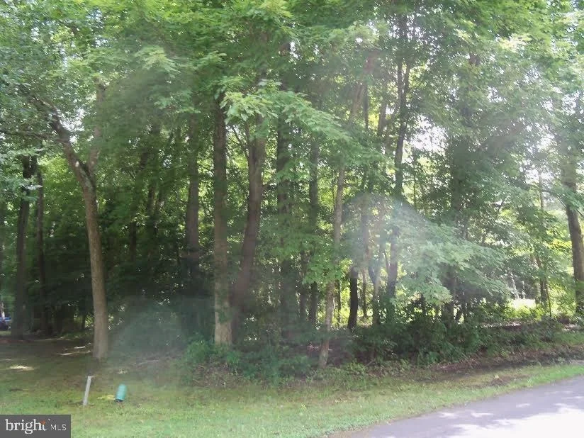 Photo of Lot 20 BALSA