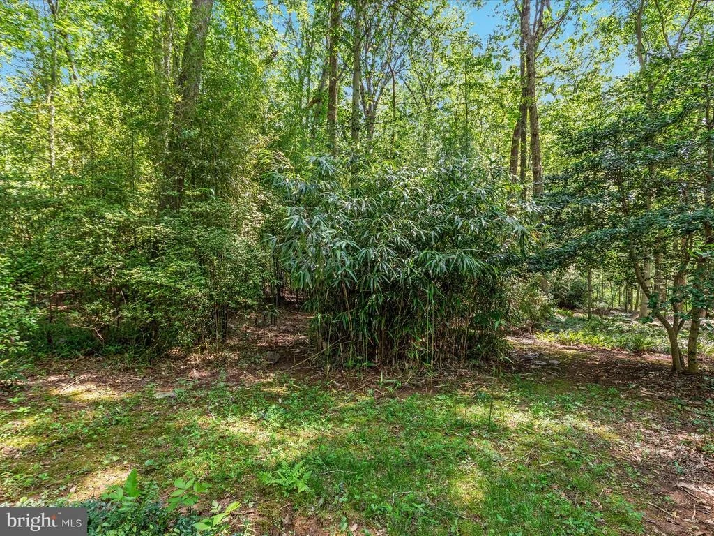 Photo of 13209 JOHNNY MOORE LANE