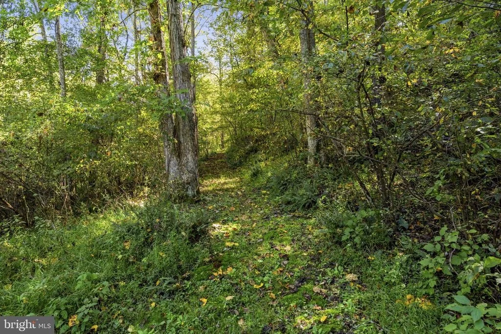 Photo of 207 GRAND VIEW ROAD