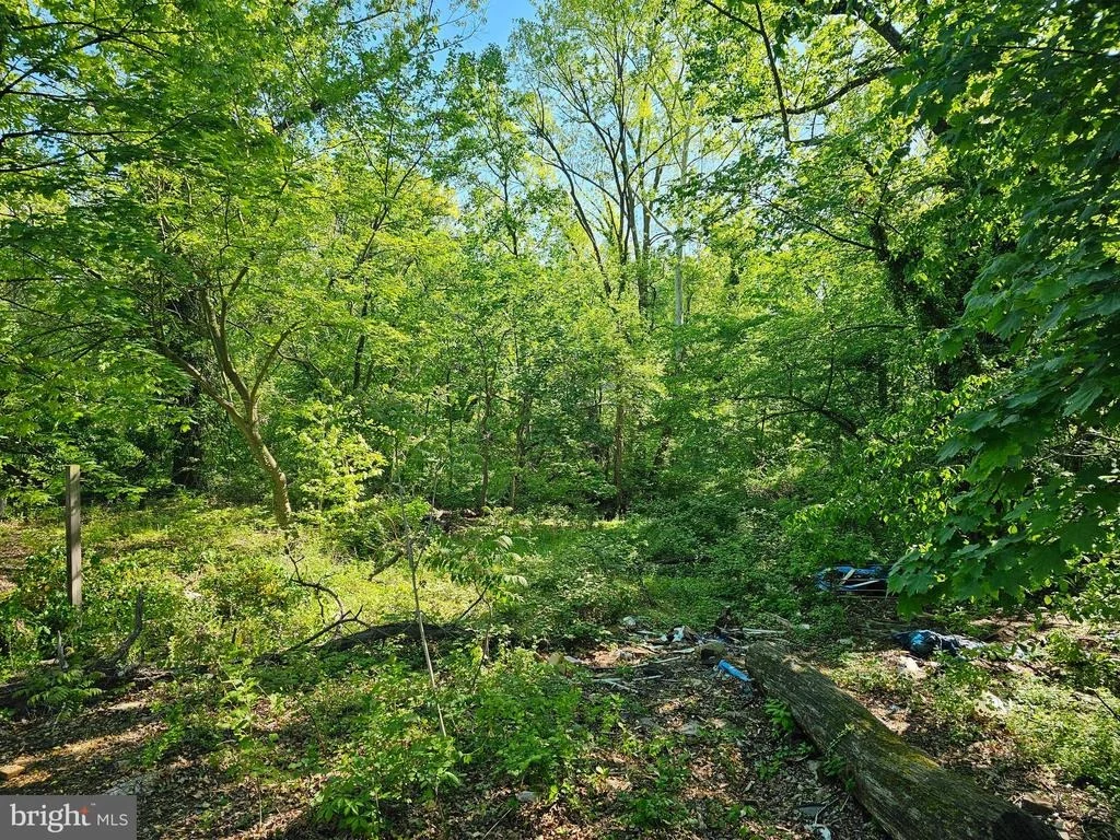 Photo of 10019 GUILFORD ROAD