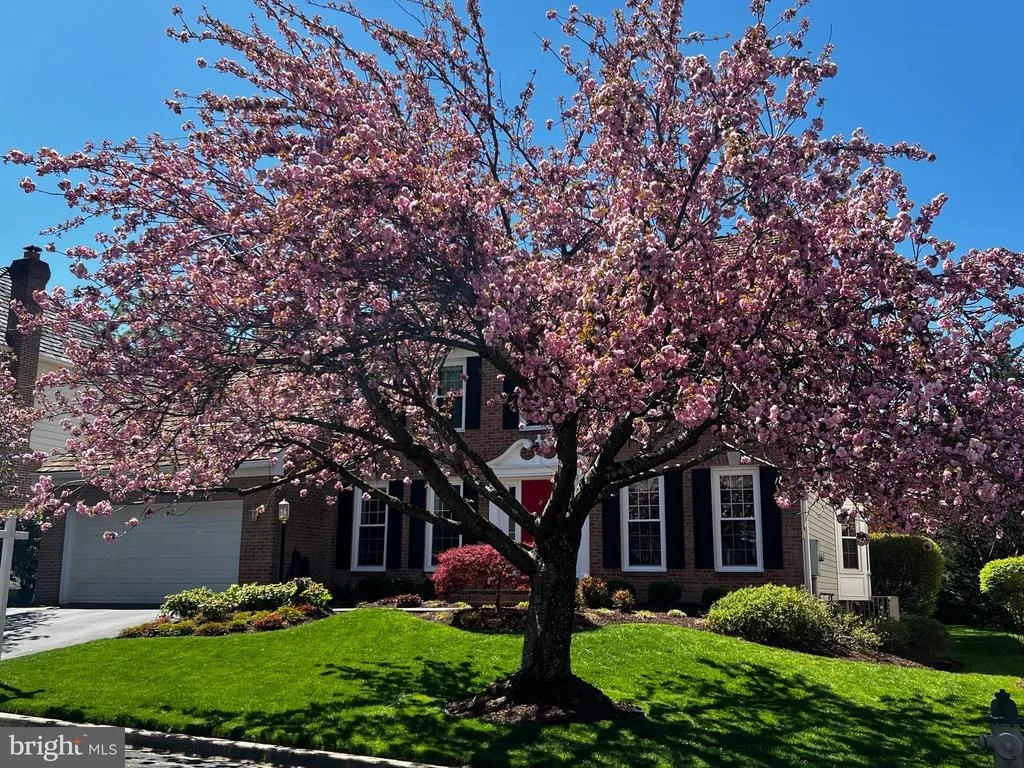 Photo of 17702 GLOBE THEATRE DRIVE