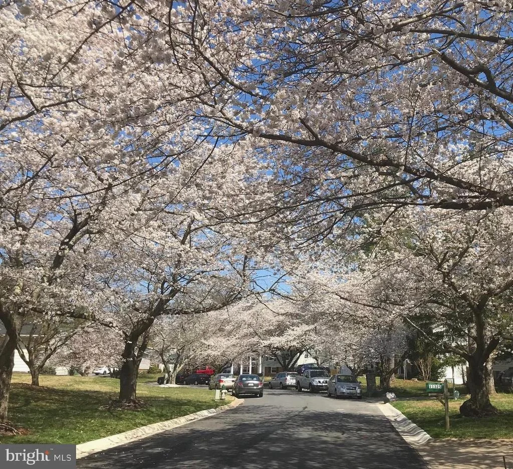 Photo of 11320 RAMBLING ROAD