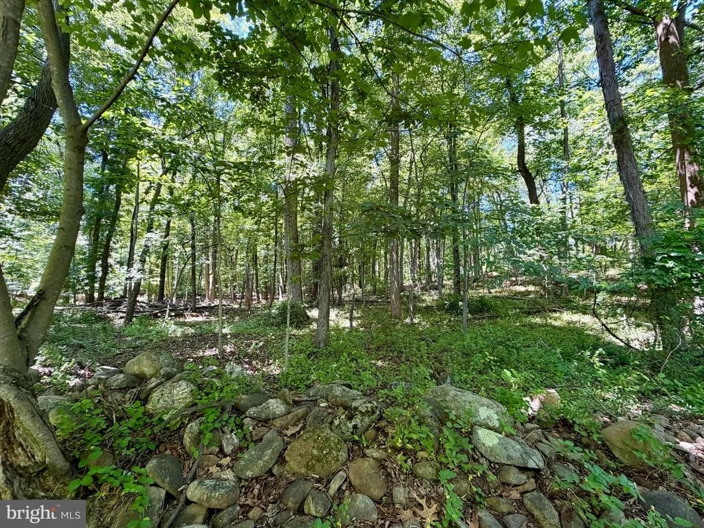 Photo of 10121 PUTMAN ROAD