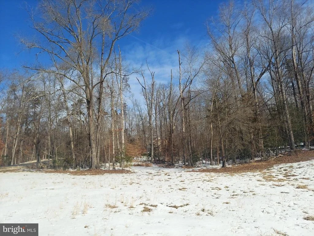 Photo of 694 MOUNTAIN VIEW ROAD