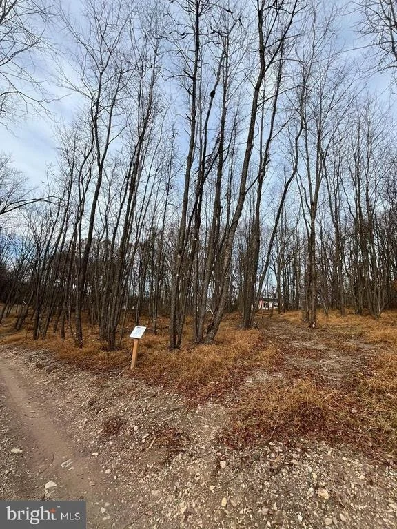 Photo of Unit WALBERT at 6468 GENERAL DRIVE