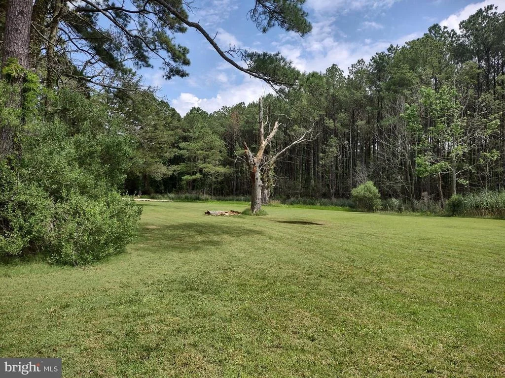 Photo of 3175 BOONE ROAD