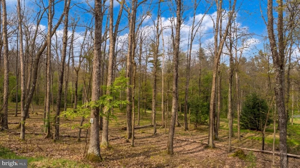 Photo of Lot 11 POLAND HEIGHTS LANE