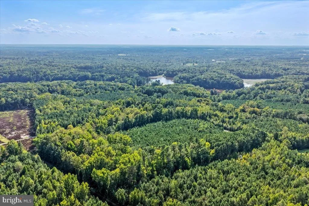 Photo of Lot 7 & 8 COUNTY POND ROAD