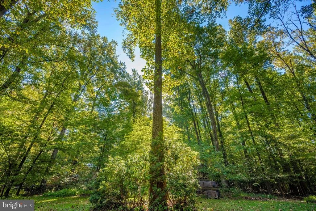 Photo of 18605 BROOKE ROAD