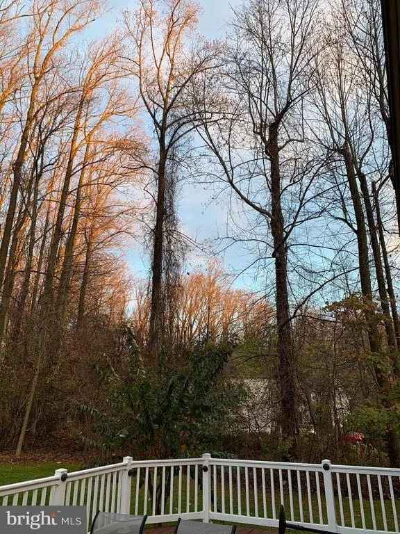 Photo of 4 MICHAEL TOWNSEND COURT
