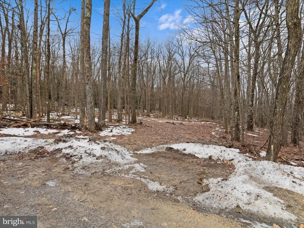 Photo of 4 N RIDGE ROAD