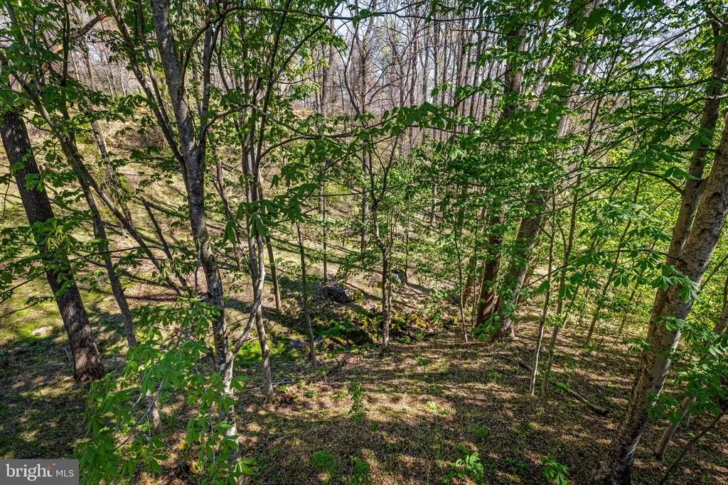 Photo of 8230 DOGWOOD ROAD