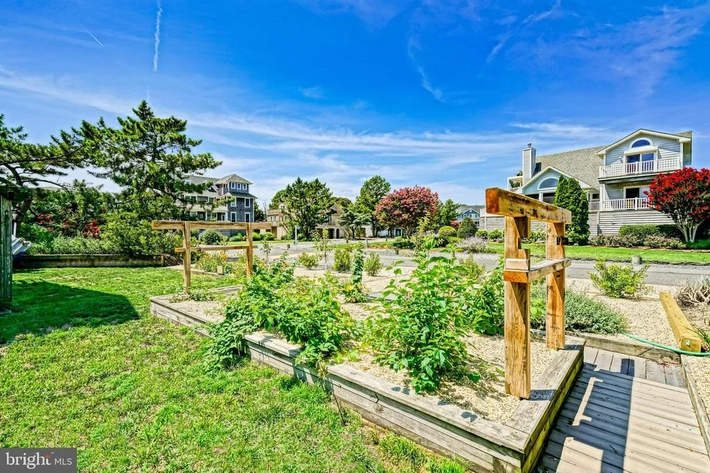 Photo of 38787 APPLE COURT