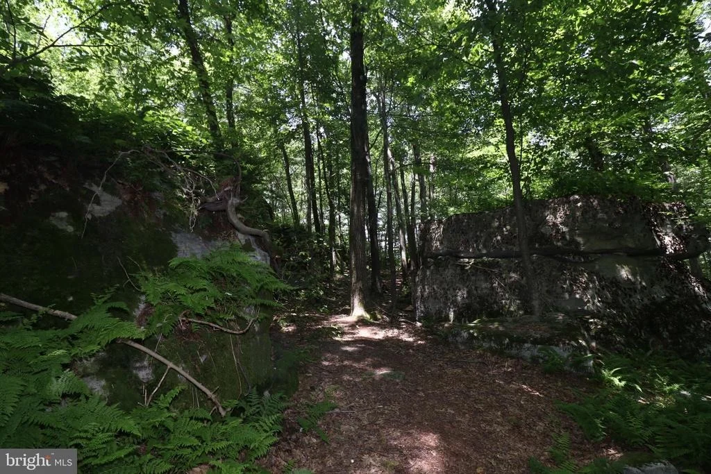 Photo of 73 WESTWARD WAY