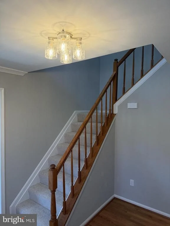 Photo of 6111 RICHMANOR TERRACE